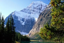 德罗巴在DWG比赛中挺进下一轮，赛况扑朔迷离引发热议！